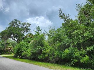 12457 Checkerberry Drive, Crystal River, FL 34428