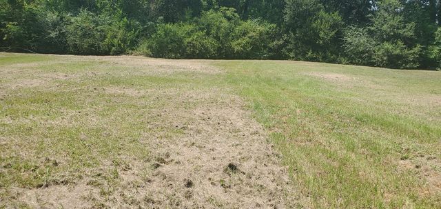 9723 Willow Street, Houston, TX 77088