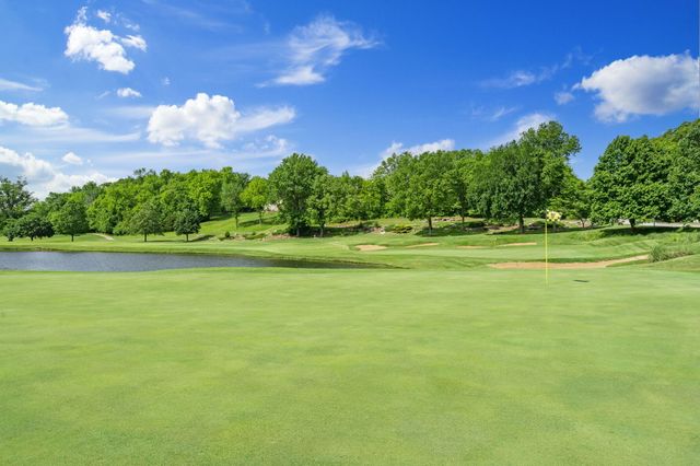 6136 S Natural Falls Drive, Ozark, MO 65721