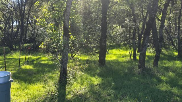 11592 Peoria, Browns Valley, CA 95918