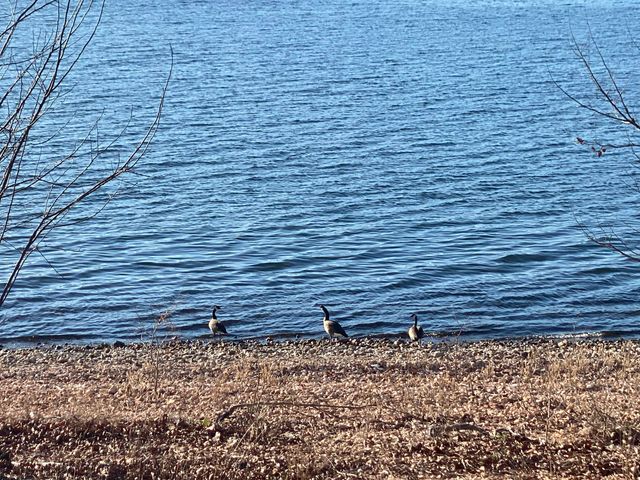 34145 S 523 Lane, Jay, OK 74346