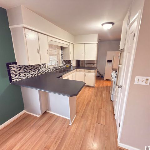 124 Division St, Grand Rivers, KY 42045