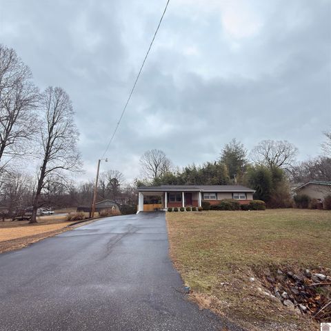 124 Division St, Grand Rivers, KY 42045