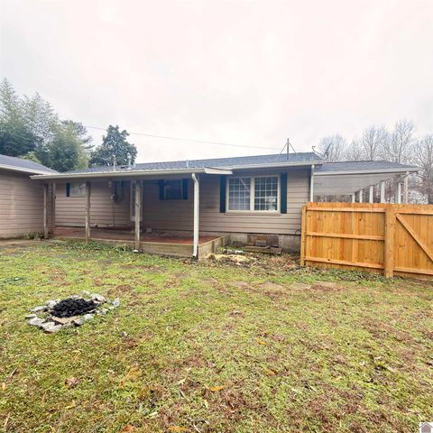 124 Division St, Grand Rivers, KY 42045