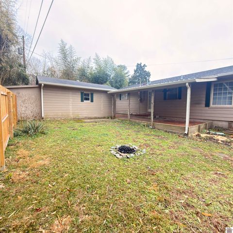 124 Division St, Grand Rivers, KY 42045