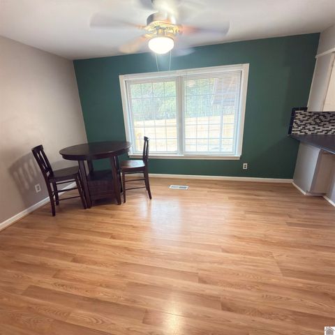 124 Division St, Grand Rivers, KY 42045