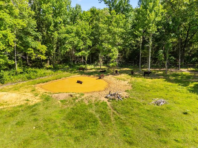 157 S Mt Olive Road, Vilonia, AR 72173