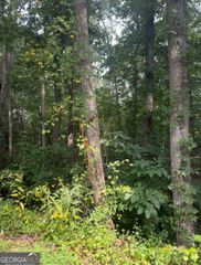 0 CROOKED Trail, Gainesville, GA 30506