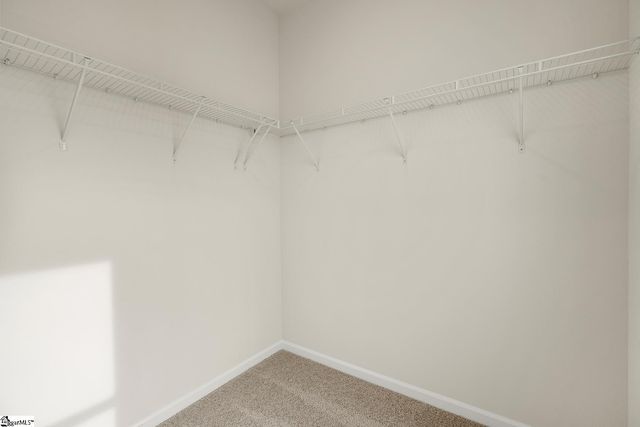 20 Lone Cypress Street, Travelers Rest, SC 29690