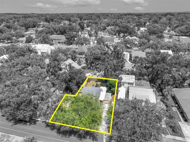 834 N ALEXANDER STREET, Mount Dora, FL 32757