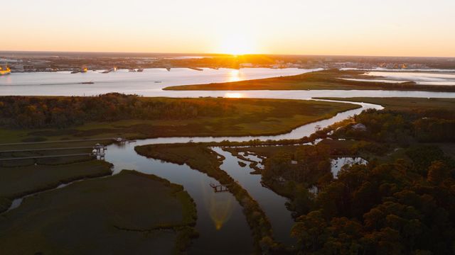 110 Feldman Court, Daniel Island, SC 29492