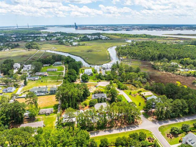 110 Feldman Court, Daniel Island, SC 29492