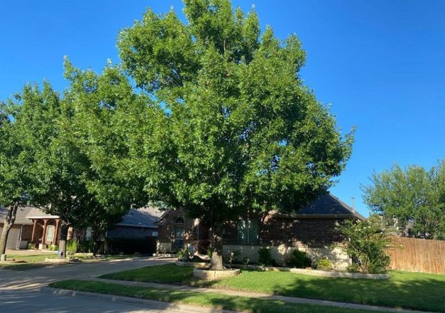 8101 Summerleaf Drive, Arlington, TX 76001