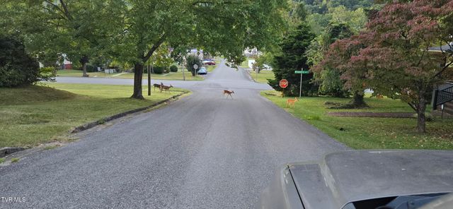 113 West 2nd Street, Big Stone Gap, VA 24219