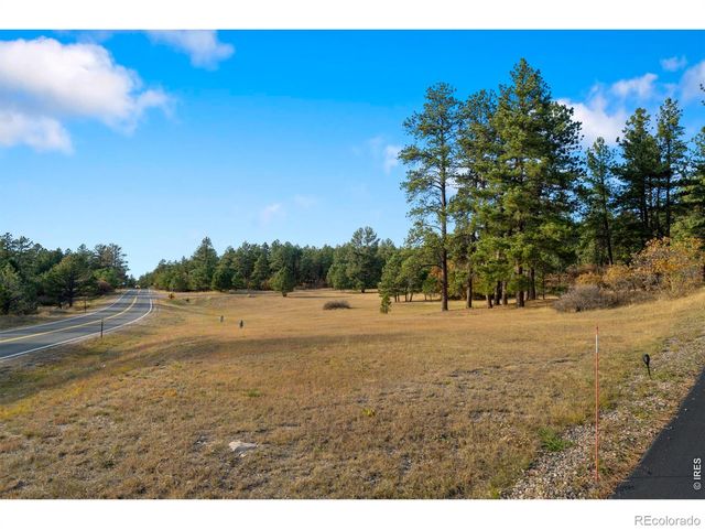 10691 Tomichi Drive, Franktown, CO 80116