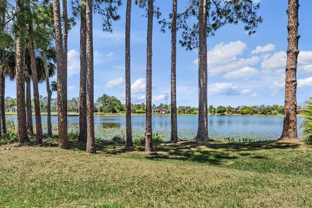 9134 TILLINGHAST DRIVE, Tampa, FL 33626