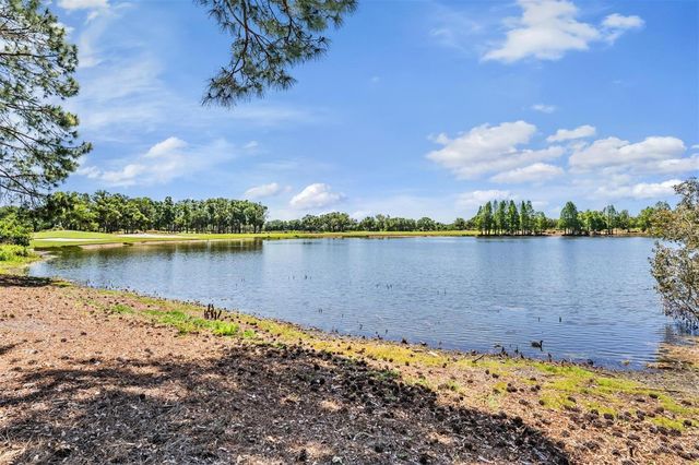 9134 TILLINGHAST DRIVE, Tampa, FL 33626