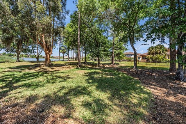 9134 TILLINGHAST DRIVE, Tampa, FL 33626