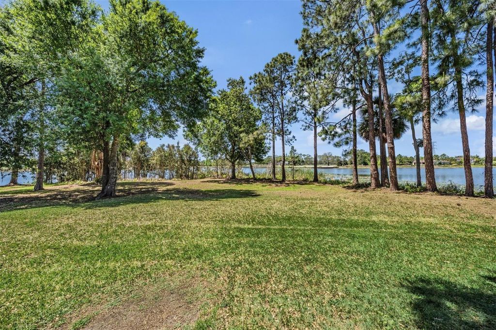 Image 57 of property listing at 9134 TILLINGHAST DRIVE, Tampa, FL 33626