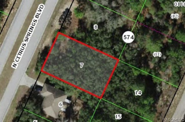 8867 N Citrus Springs Boulevard, Citrus Springs, FL 34433