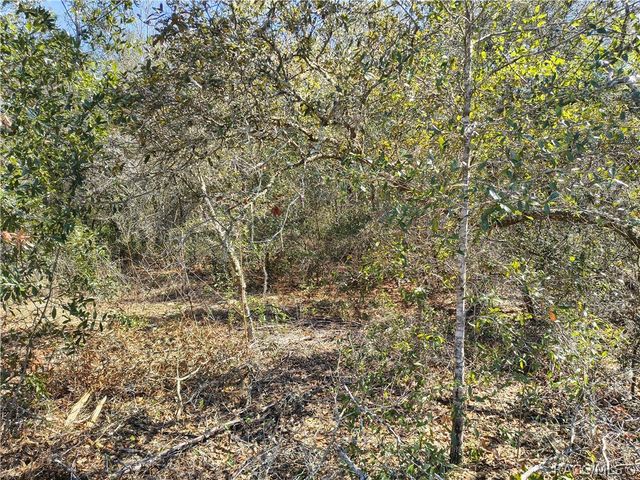 8867 N Citrus Springs Boulevard, Citrus Springs, FL 34433