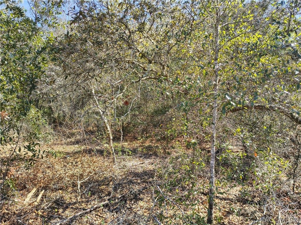 8867 N Citrus Springs Boulevard, Citrus Springs, FL 34433