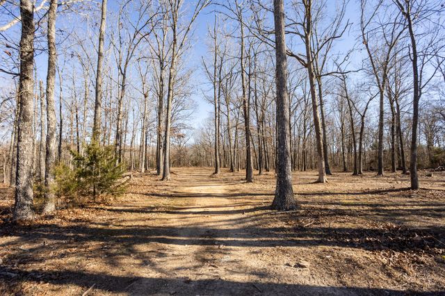 10662 County Road 8470, West Plains, MO 65775