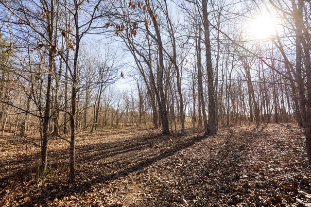 10662 County Road 8470, West Plains, MO 65775