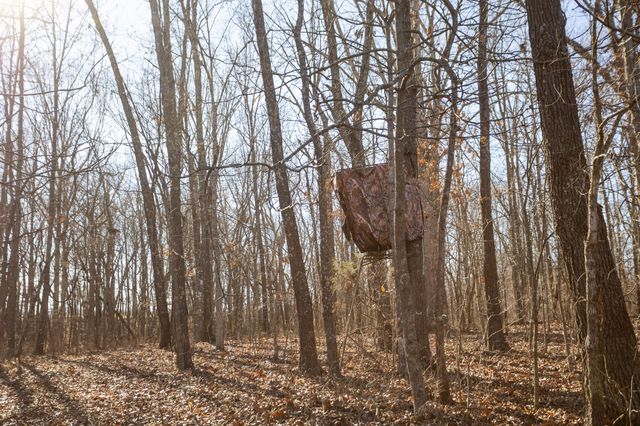 10662 County Road 8470, West Plains, MO 65775