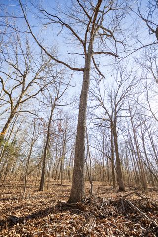 10662 County Road 8470, West Plains, MO 65775