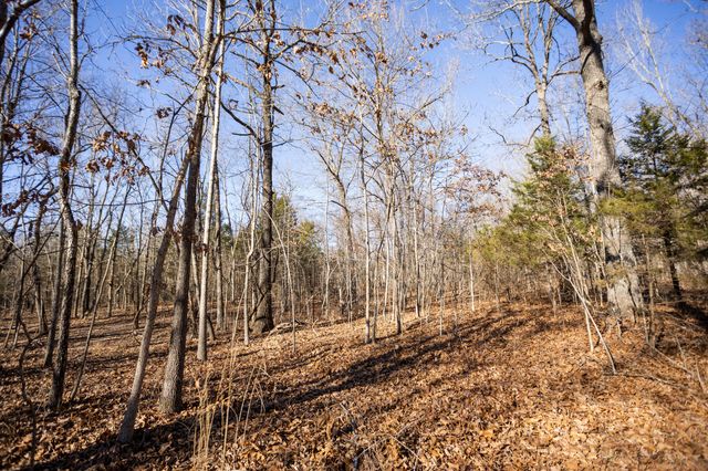 10662 County Road 8470, West Plains, MO 65775