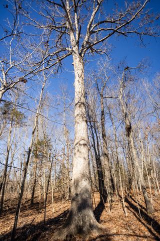 10662 County Road 8470, West Plains, MO 65775