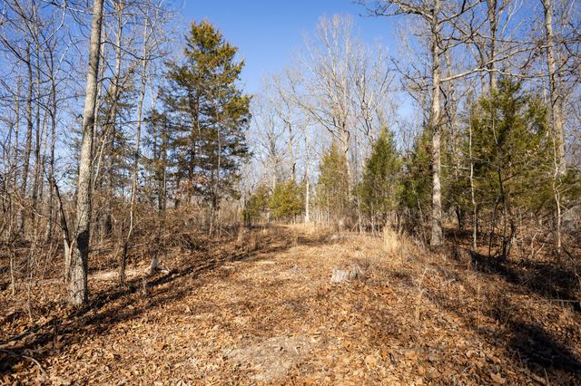 10662 County Road 8470, West Plains, MO 65775