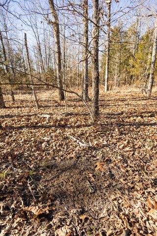 10662 County Road 8470, West Plains, MO 65775