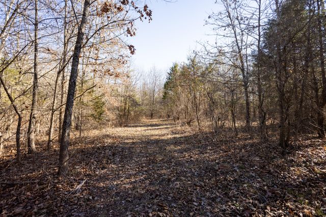 10662 County Road 8470, West Plains, MO 65775