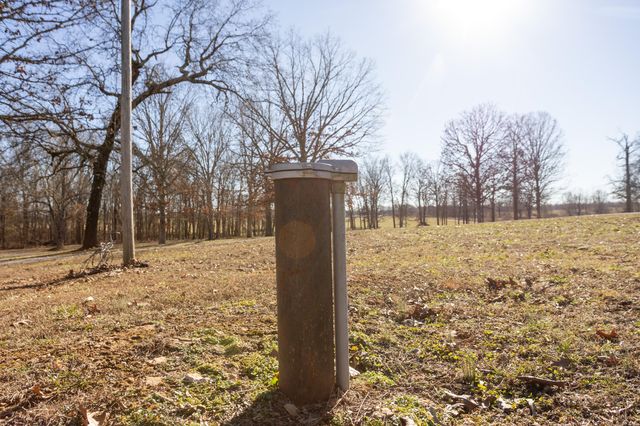 10662 County Road 8470, West Plains, MO 65775