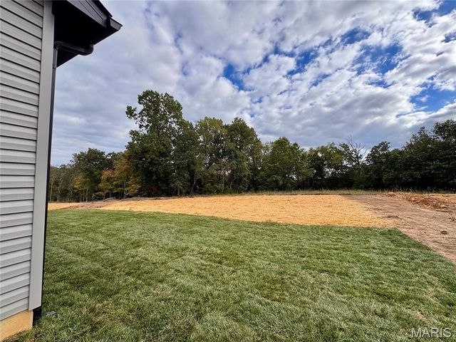726 Blake Drive, Hillsboro, MO 63050