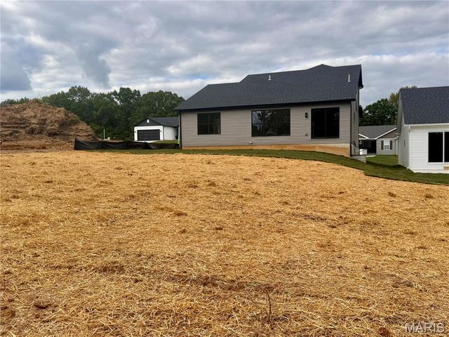 726 Blake Drive, Hillsboro, MO 63050