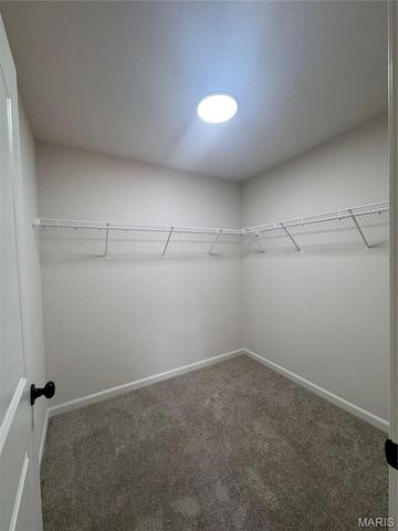 726 Blake Drive, Hillsboro, MO 63050