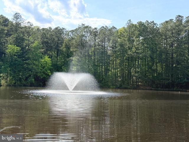 448 LAKE CAROLINE DR, Ruther Glen, VA 22546