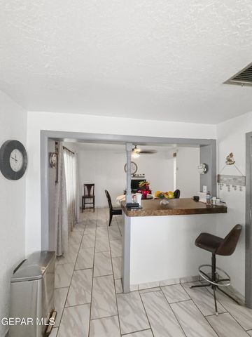 11513 DORIS Road, Socorro, TX 79927