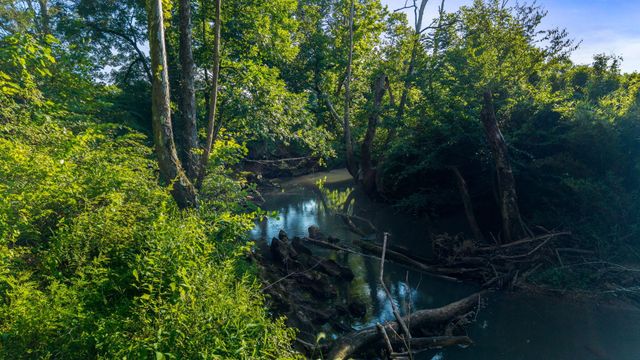 259 County Road 60, Athens, TN 37303