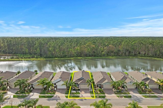 214 Caryota Court, New Smyrna Beach, FL 32168