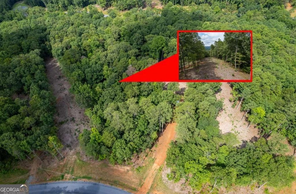LOT 315 Pebble Trace 315, Talking Rock, GA 30175