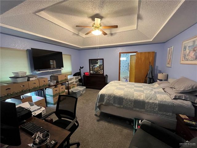304 Diana Drive, Alamo, TX 78516