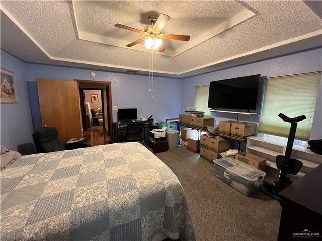 304 Diana Drive, Alamo, TX 78516