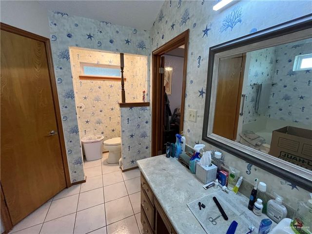 304 Diana Drive, Alamo, TX 78516