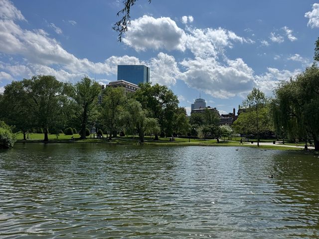 6 Goodwin Place B, Boston, MA 02114