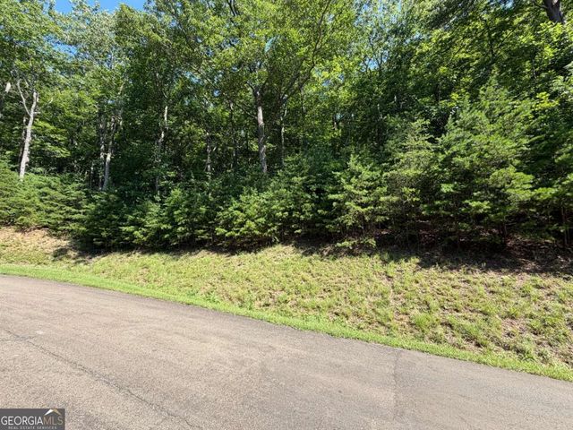 233 Stone Cliff Drive 233, Ellijay, GA 30536