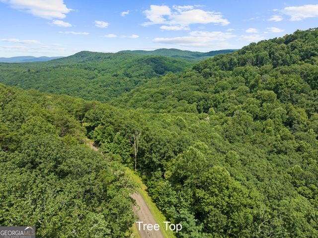 233 Stone Cliff Drive 233, Ellijay, GA 30536